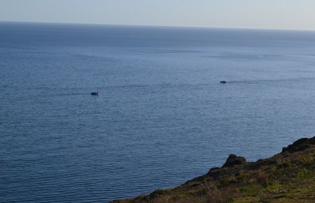 dsc_0204.jpg