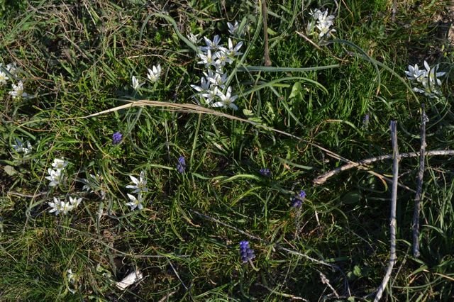 dsc_0353.jpg
