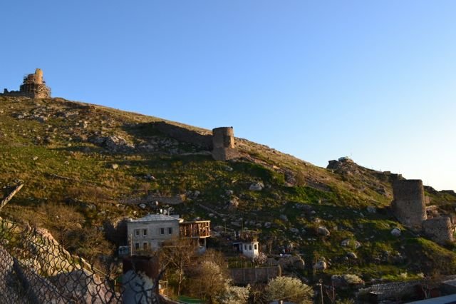 dsc_0378.jpg