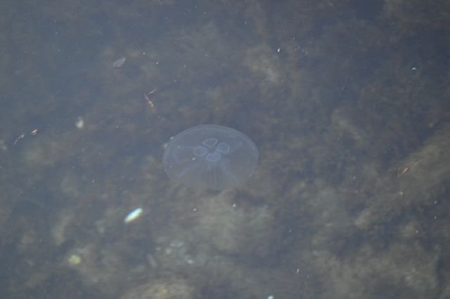 dsc_0399.jpg