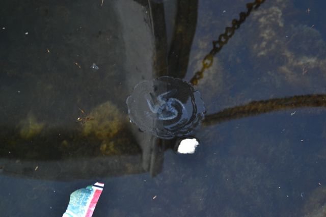 dsc_0404.jpg