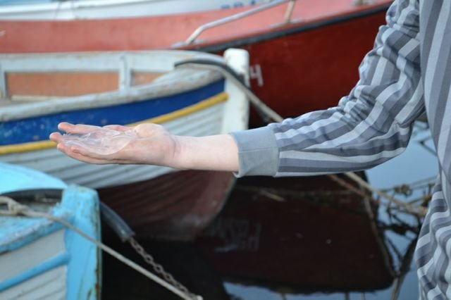 dsc_0407.jpg