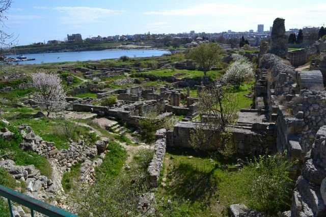 dsc_0428.jpg
