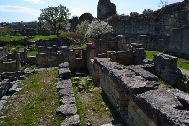 dsc_0432.jpg