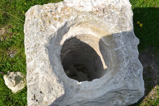 dsc_0463.jpg