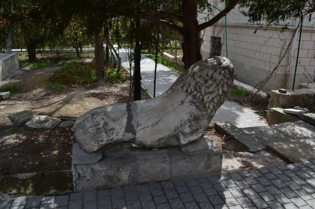 dsc_0521.jpg