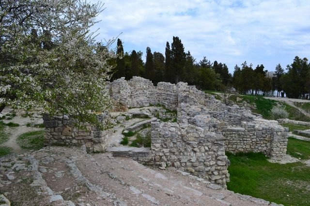 dsc_0534.jpg