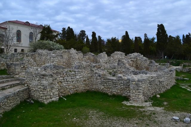 dsc_0539.jpg