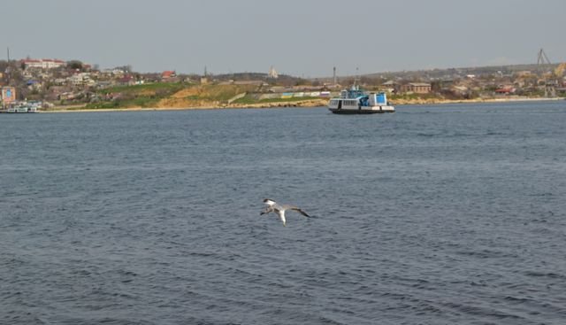dsc_0681.jpg