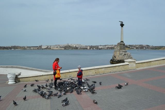 dsc_0726.jpg
