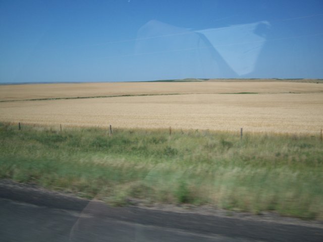 _0801.jpg