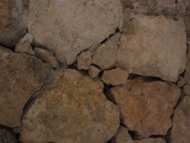 p1010877.jpg