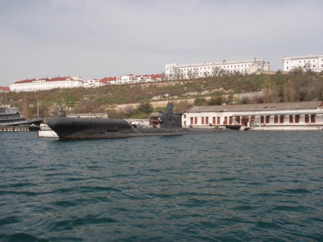 p1010987.jpg